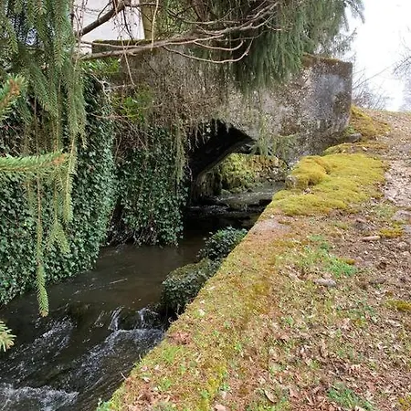 Ancient Mill With Beautiful And Streams Vila *